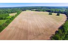 Property photo 1 - REAL ESTATE AUCTION - 211+/- ACRES IN 6 TRACTS IN BERRIEN COUNTY, MICHIGAN